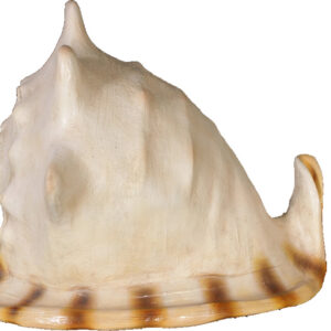 24" Helmet Shell Large